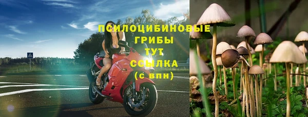 дживик Алексеевка