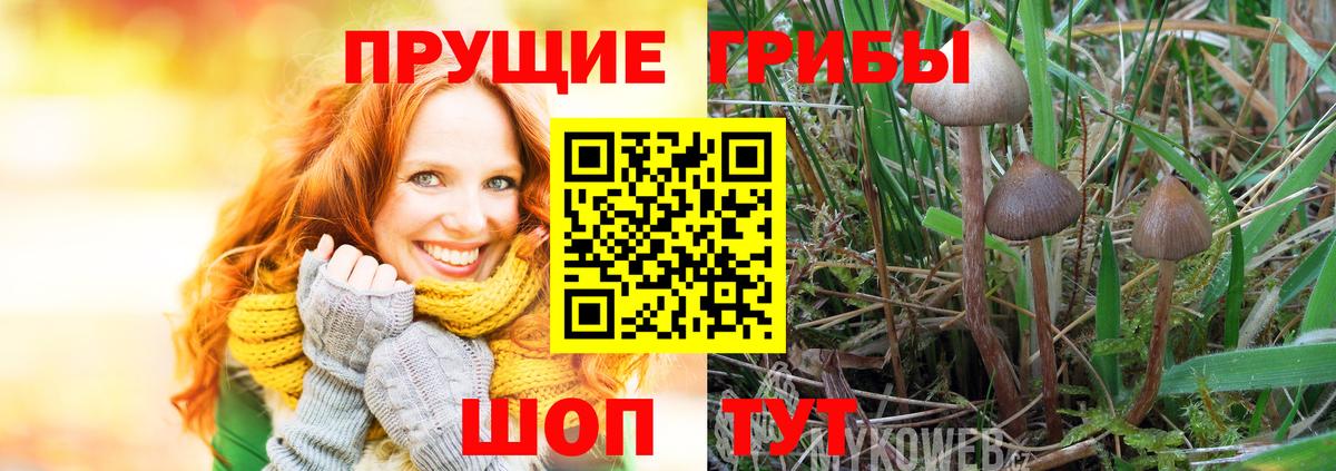 Рассказово  купить наркотики цена  Вход с VPN  Галлюциногенные грибы GOLDEN TEACHER 